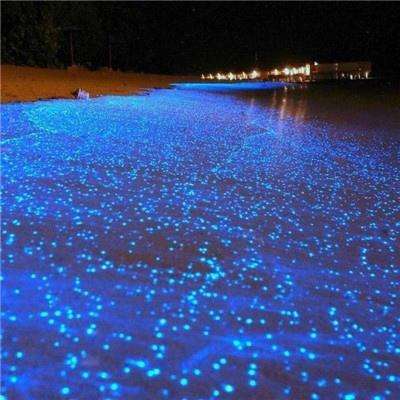 孔雪儿韩安冉同框
